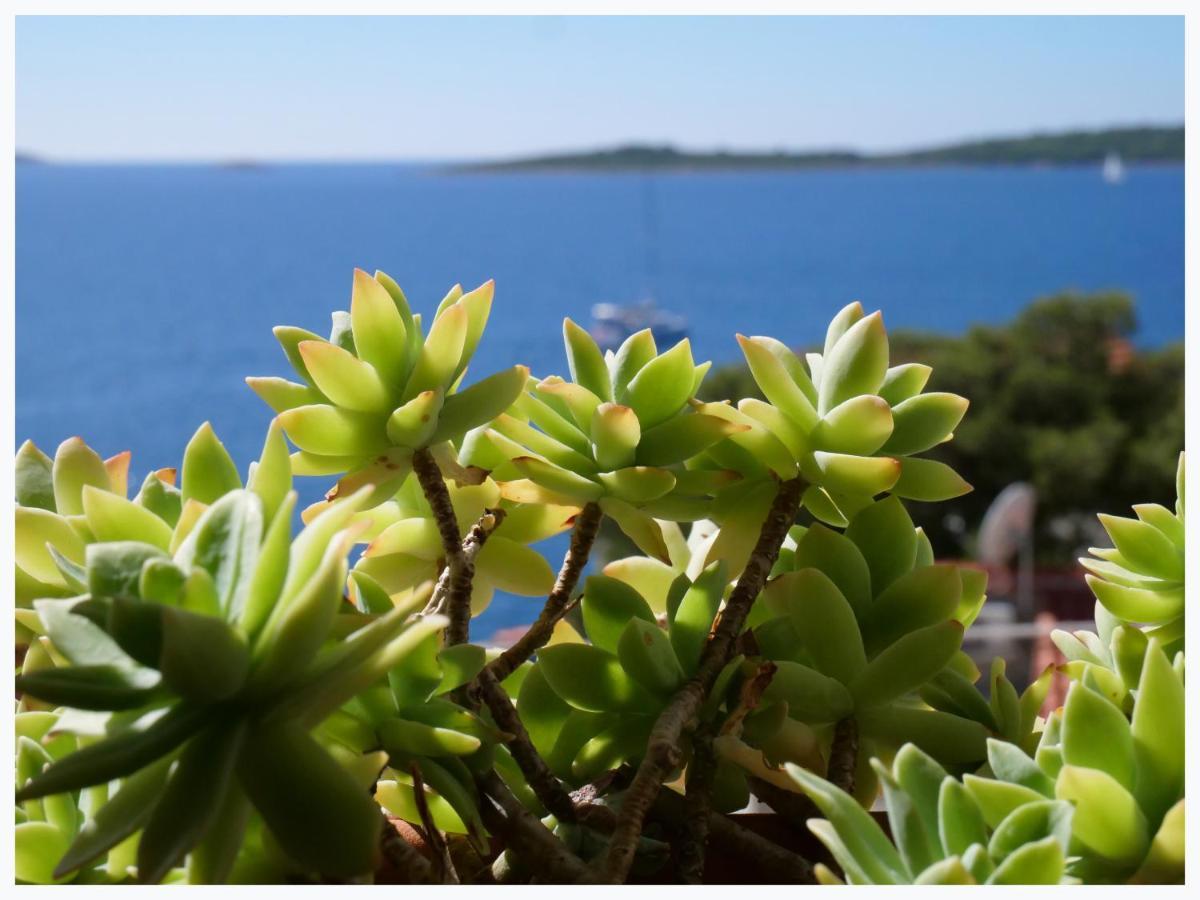 Apartament The Peninsula Primošten Zewnętrze zdjęcie